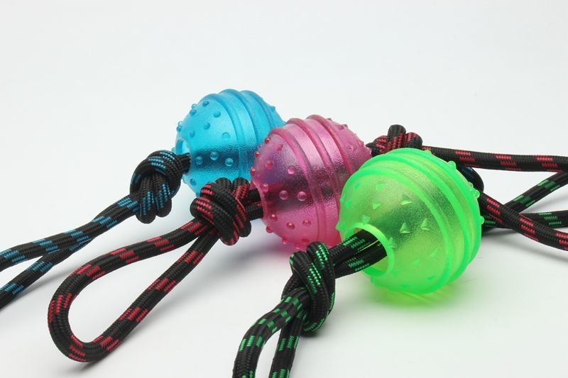 Lightweight Plastic Dog Ball With Rope Interactive Dog Toy For Heavy Chewers