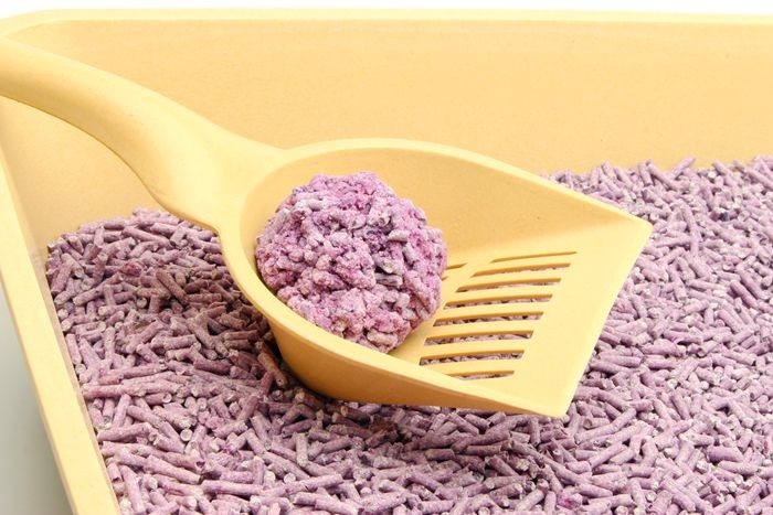 Commercial Easy Scooping Pet Cat Litter Lavender Scent Environmentally Friendly